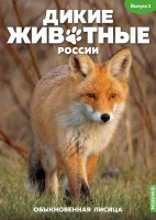 Дикие животные России № 1: Обыкновенная лисица