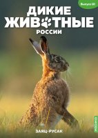 Дикие животные России № 10: Заяц русак