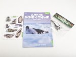 Дикие животные России № 39: Гренландский тюлень Дикие животные России, фото 2