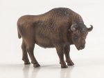 Дикие животные России № 41: Зубр Дикие животные России, фото 8