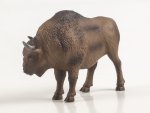 Дикие животные России № 41: Зубр Дикие животные России, фото 7
