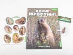 Дикие животные России № 46: Сурок-байбак Дикие животные России, фото 2