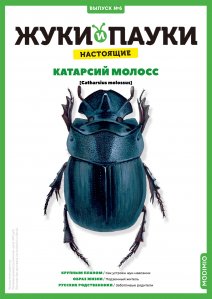 Выпуск №6: Жуки и пауки, Катарсий молосс