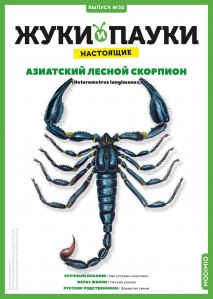 Выпуск №30: Жуки и пауки, Азиатский лесной скорпион