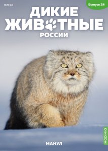 Дикие животные России № 24: Манул