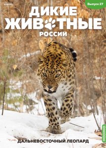 Дикие животные России № 27: Дальневосточный леопард