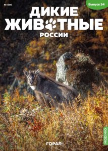 Дикие животные России № 34: Амурский горал