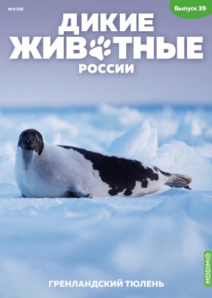 Дикие животные России № 39: Гренландский тюлень Дикие животные России
