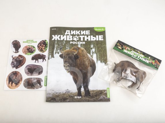 Дикие животные России № 41: Зубр Дикие животные России, фото 2