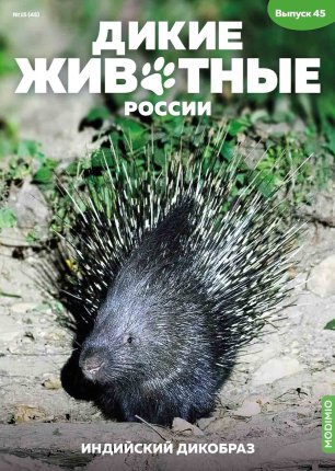 Дикие животные России № 45: Индийский дикобраз Дикие животные России
